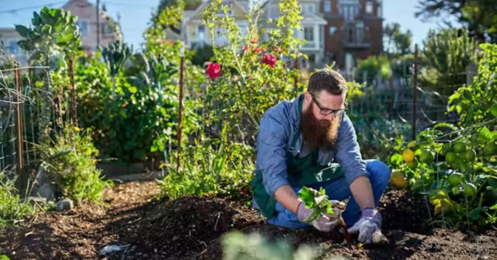 Urban Gardening Tips