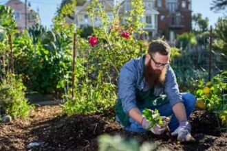 Urban Gardening Tips